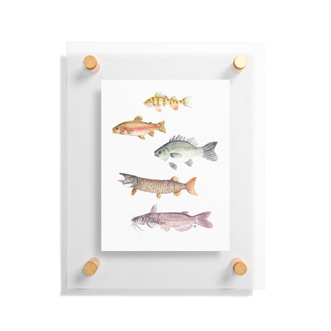 Wonder Forest Fishermans Friends Floating Acrylic Print