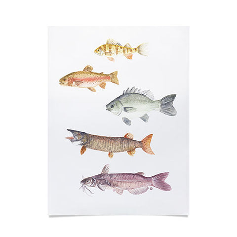 Wonder Forest Fishermans Friends Poster