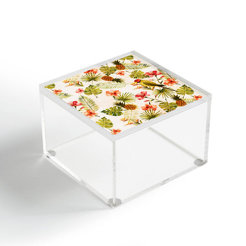 Wonder Forest Totally Tropical Acrylic Box